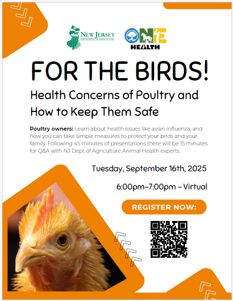 Flyer advertising a webinar on poultry health for bird owners Sept 16th from 6pm to 7pm Eastern